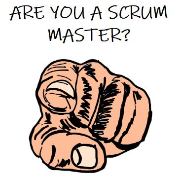 What Is Self Organization In Scrum Framework? This Might Surprise You!