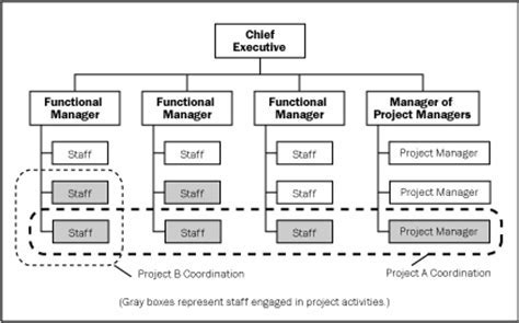 Matrix Organization Structure